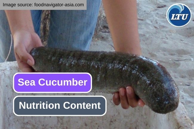 8 Essential Nutrition Content in Sea Cucumber